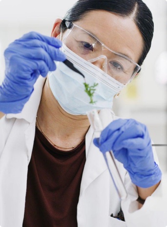D'COEUR research and ingredients